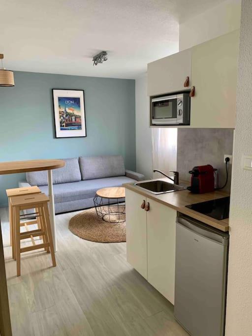 Studio Le Pensier - Monplaisir Lyon Eksteriør bilde