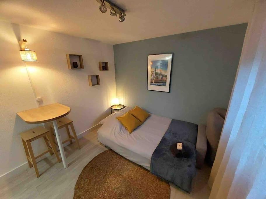 Studio Le Pensier - Monplaisir Lyon Eksteriør bilde